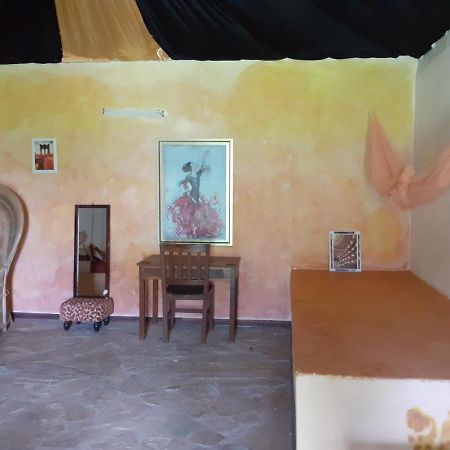 Gecko Nature Lodge Home Of Swahili Divers The Best Dive Center And Famous Gecko Restaurant Verani Экстерьер фото