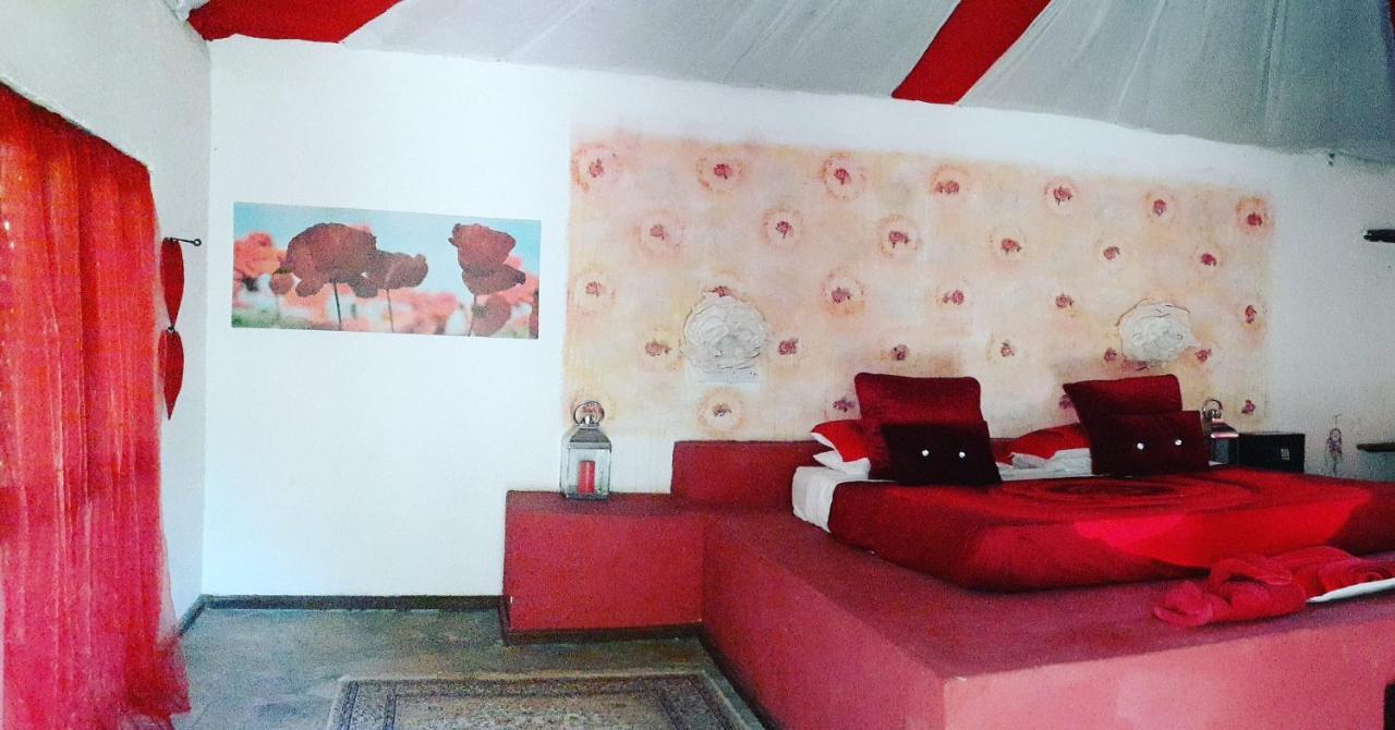 Gecko Nature Lodge Home Of Swahili Divers The Best Dive Center And Famous Gecko Restaurant Verani Экстерьер фото