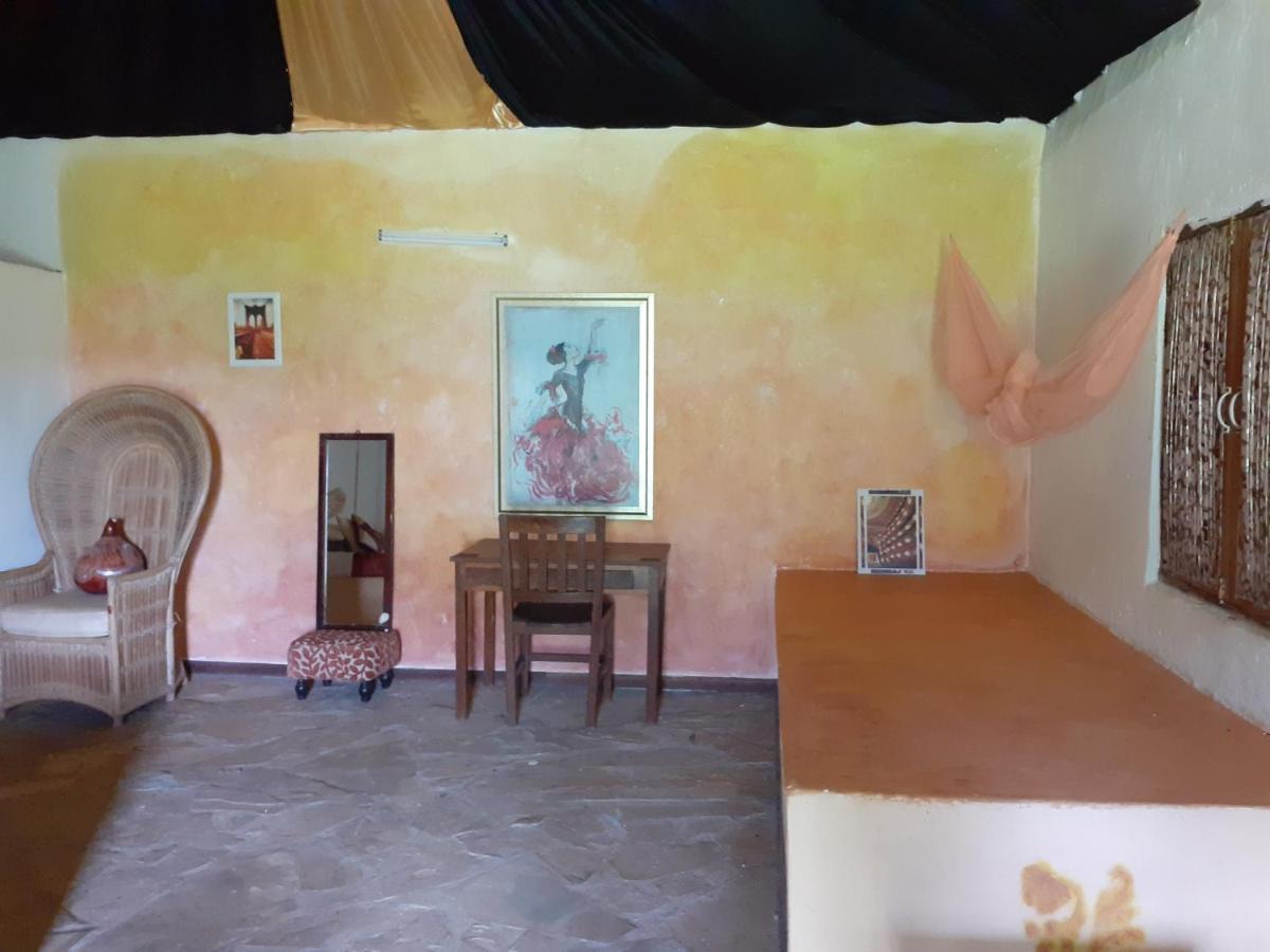 Gecko Nature Lodge Home Of Swahili Divers The Best Dive Center And Famous Gecko Restaurant Verani Экстерьер фото