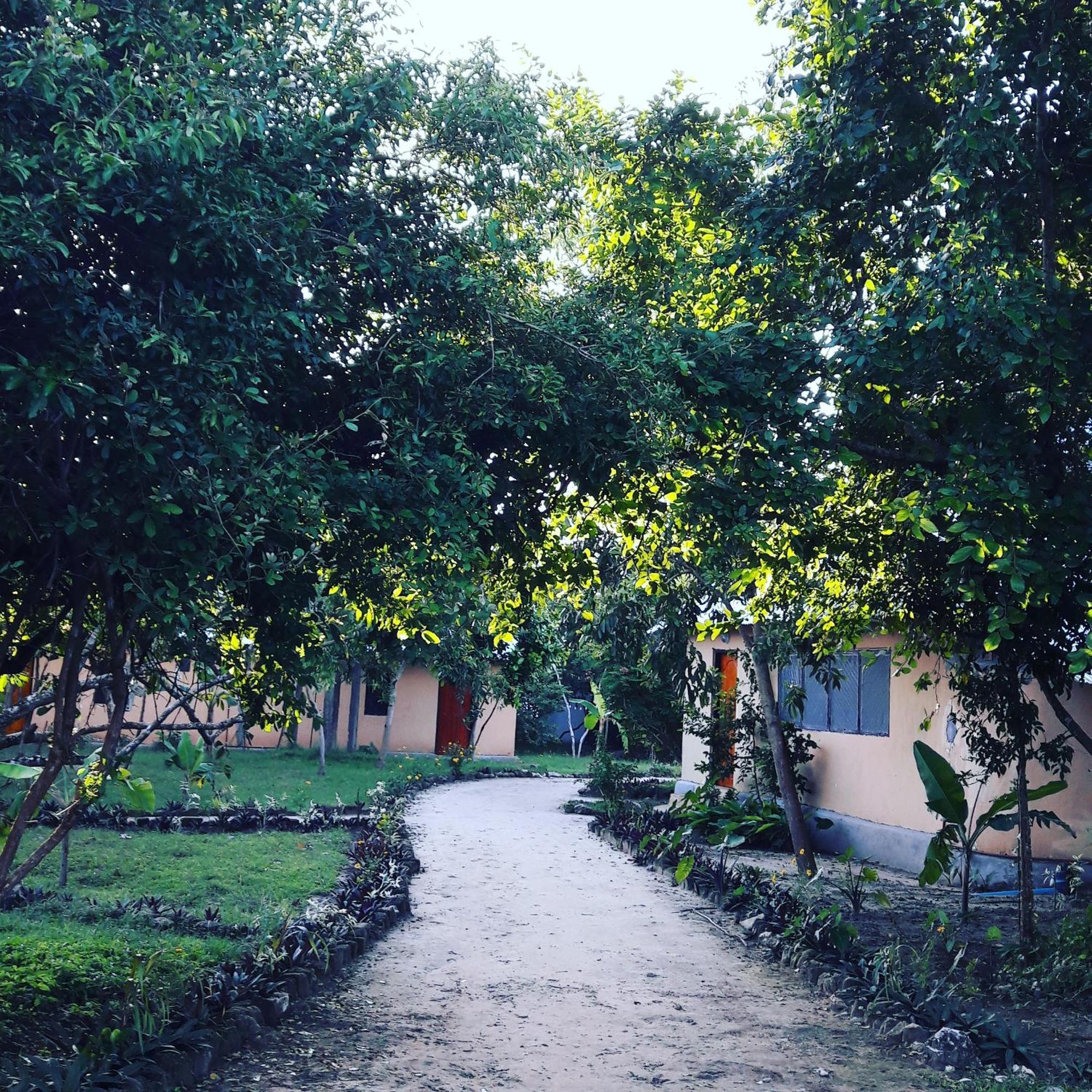 Gecko Nature Lodge Home Of Swahili Divers The Best Dive Center And Famous Gecko Restaurant Verani Экстерьер фото