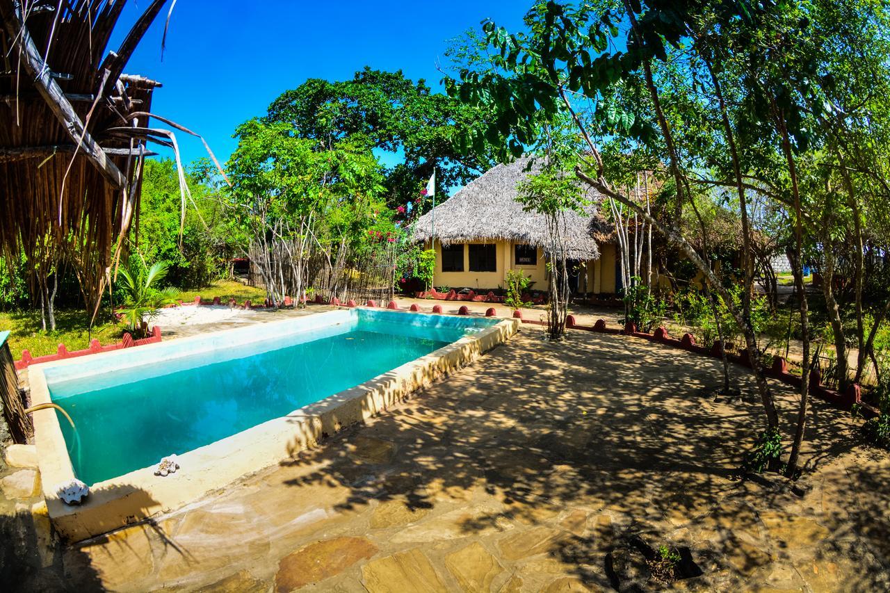 Gecko Nature Lodge Home Of Swahili Divers The Best Dive Center And Famous Gecko Restaurant Verani Экстерьер фото