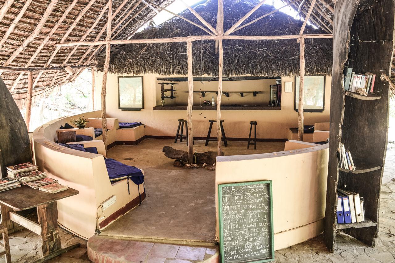 Gecko Nature Lodge Home Of Swahili Divers The Best Dive Center And Famous Gecko Restaurant Verani Экстерьер фото
