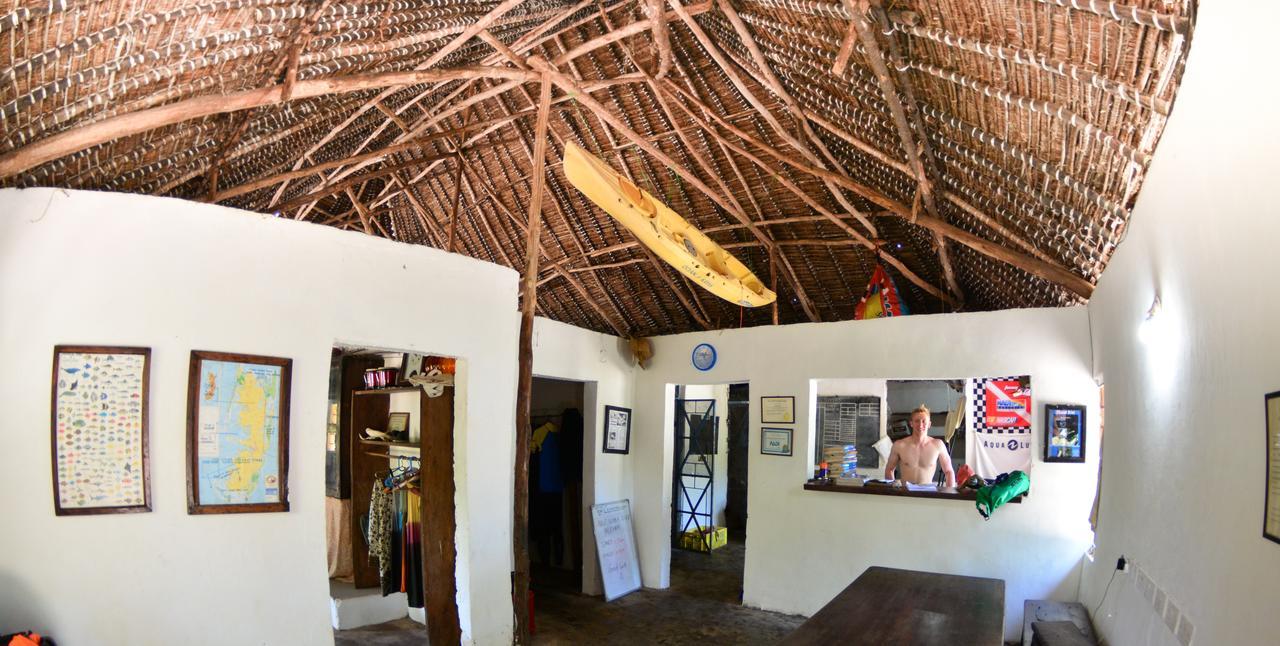 Gecko Nature Lodge Home Of Swahili Divers The Best Dive Center And Famous Gecko Restaurant Verani Экстерьер фото