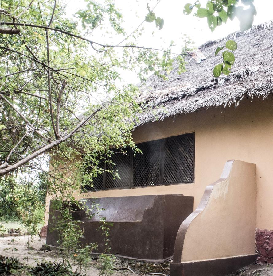 Gecko Nature Lodge Home Of Swahili Divers The Best Dive Center And Famous Gecko Restaurant Verani Экстерьер фото