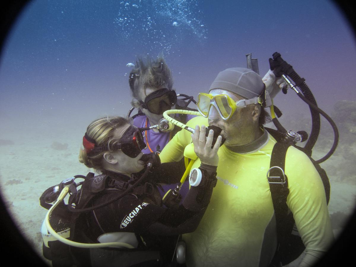 Gecko Nature Lodge Home Of Swahili Divers The Best Dive Center And Famous Gecko Restaurant Verani Экстерьер фото