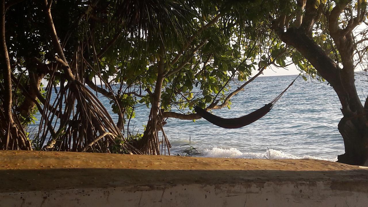 Gecko Nature Lodge Home Of Swahili Divers The Best Dive Center And Famous Gecko Restaurant Verani Экстерьер фото