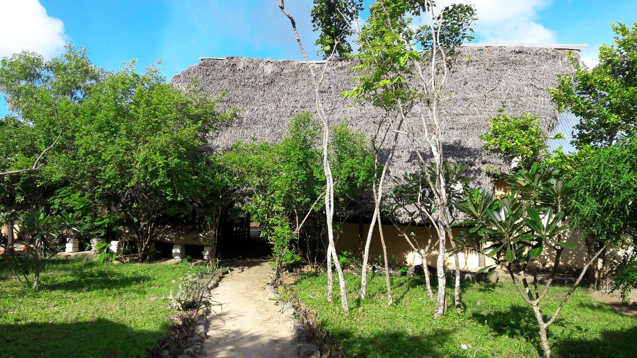 Gecko Nature Lodge Home Of Swahili Divers The Best Dive Center And Famous Gecko Restaurant Verani Экстерьер фото