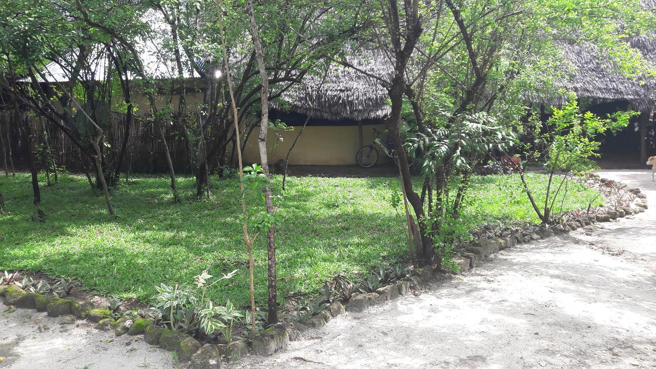 Gecko Nature Lodge Home Of Swahili Divers The Best Dive Center And Famous Gecko Restaurant Verani Экстерьер фото