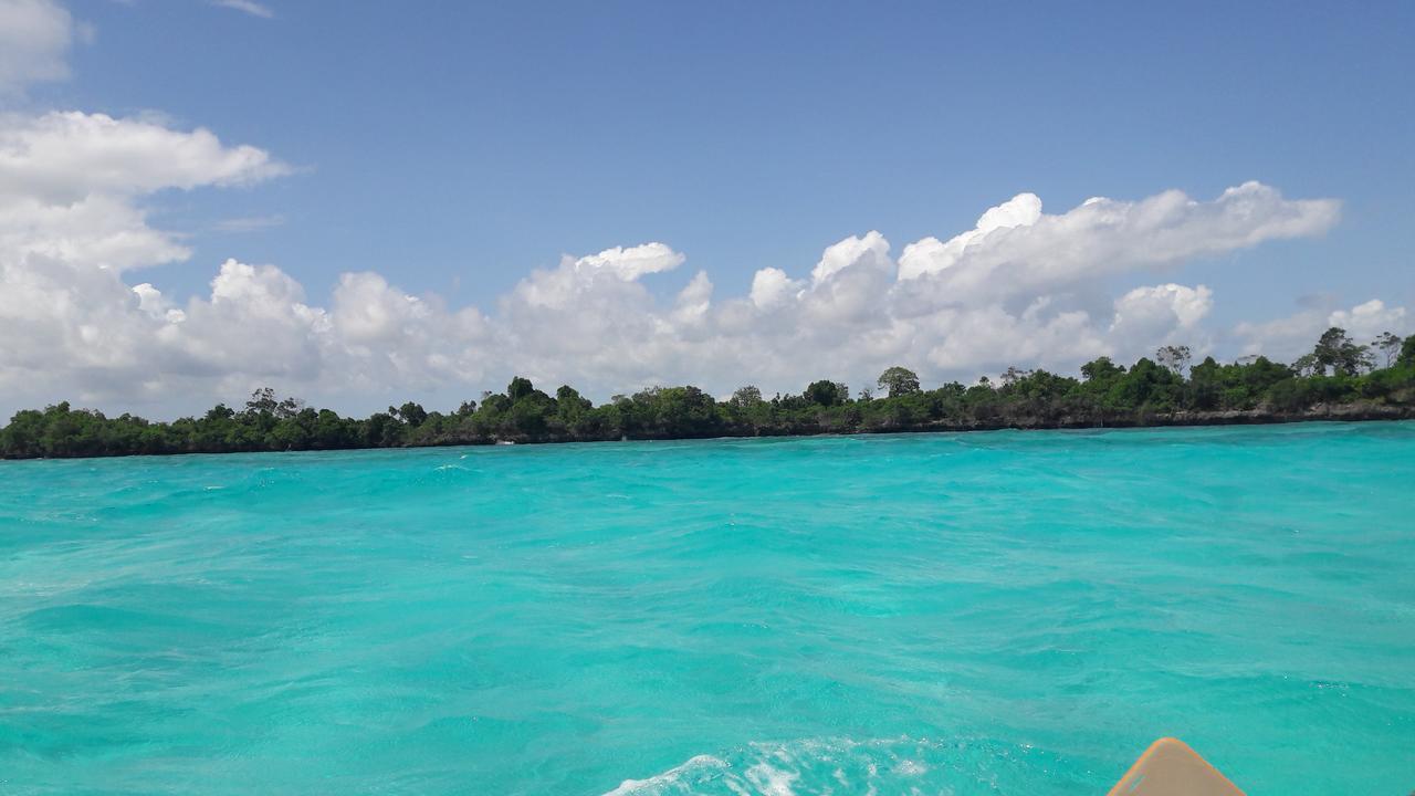 Gecko Nature Lodge Home Of Swahili Divers The Best Dive Center And Famous Gecko Restaurant Verani Экстерьер фото